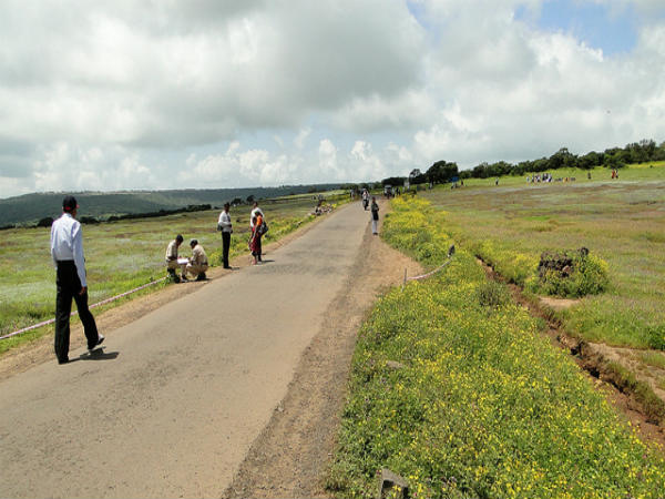 ಕಾಸ್ ಹೂವಿನ ಕಣಿವೆ: