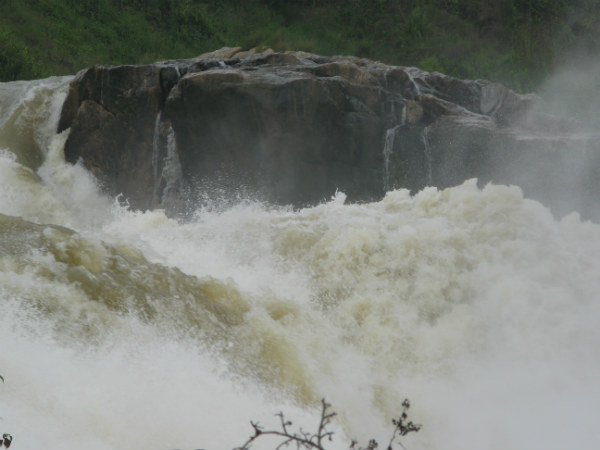 ಚುಂಚನಕಟ್ಟೆ ಜಲಪಾತ: