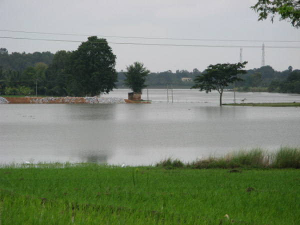 ಚುಂಚನಕಟ್ಟೆ ಜಲಪಾತ: