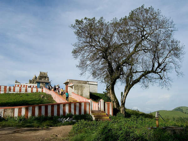 ಗೋಪಾಲಸ್ವಾಮಿ ಬೆಟ್ಟ: