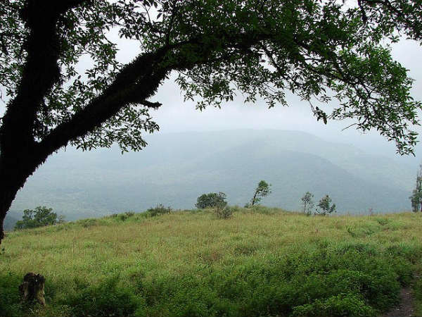 ಗೋಪಾಲಸ್ವಾಮಿ ಬೆಟ್ಟ: