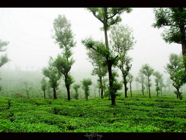 ವಾಲ್ಪಾರೈ: