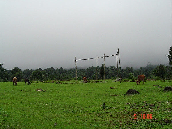 ಕೊಡಚಾದ್ರಿ: