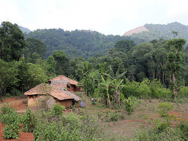 ಕೊಡಚಾದ್ರಿ: