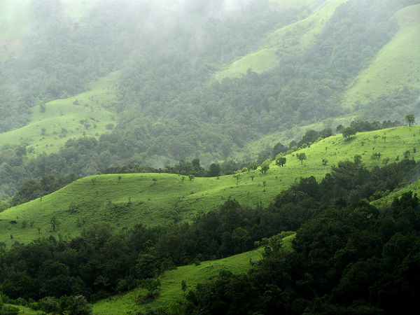 ಕುದುರೆಮುಖ: ಕುದುರೆಮುಖ: