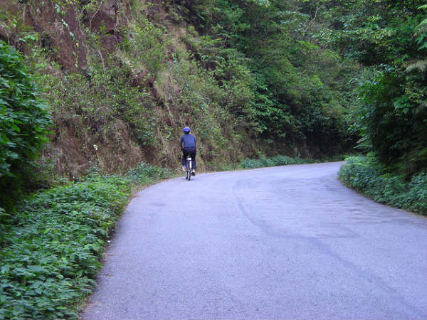 ಕುದುರೆಮುಖ: ಕುದುರೆಮುಖ: