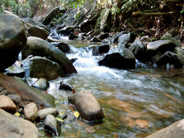 ಕುದುರೆಮುಖ: ಕುದುರೆಮುಖ: