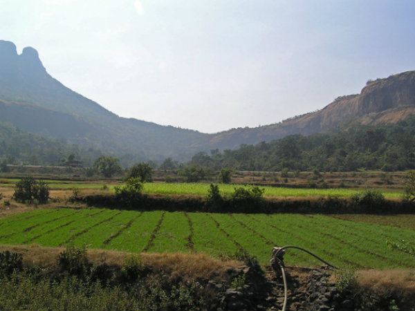 ಮಾಲ್ಶೇಜ್ ಘಾಟ್: