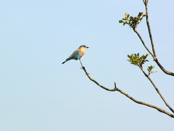 ಮಾಲ್ಶೇಜ್ ಘಾಟ್: