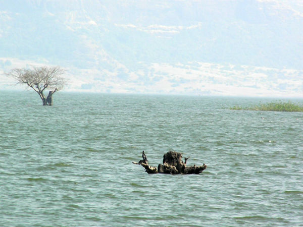 ಮಾಲ್ಶೇಜ್ ಘಾಟ್: