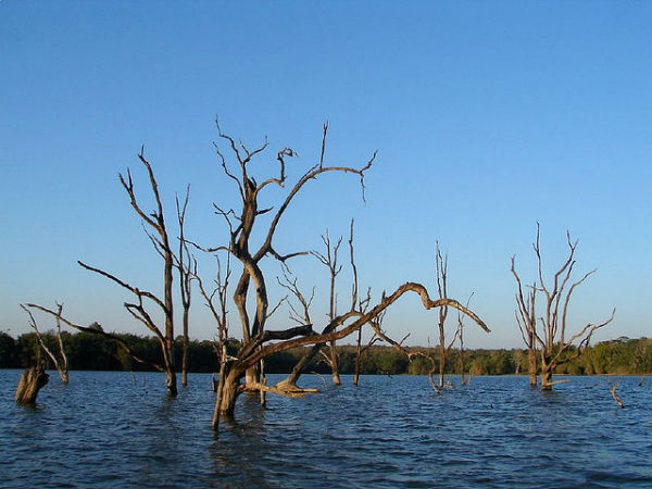 ನಾಗರಹೊಳೆ: