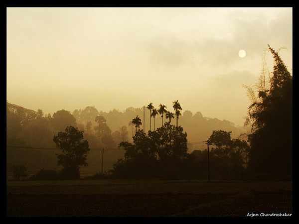 ನಾಗರಹೊಳೆ: