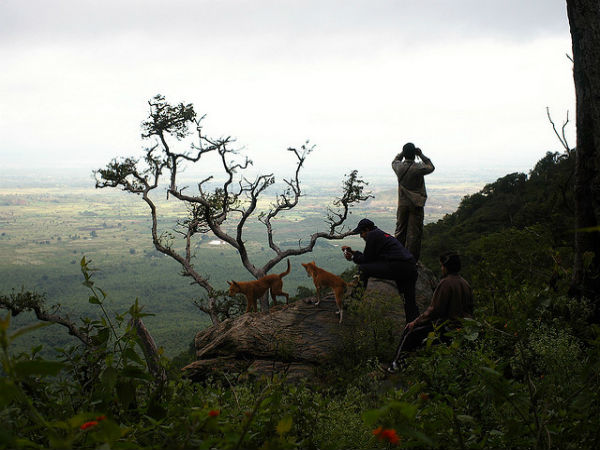 ಬಿಳಿಗಿರಿರಂಗನ ಬೆಟ್ಟ: