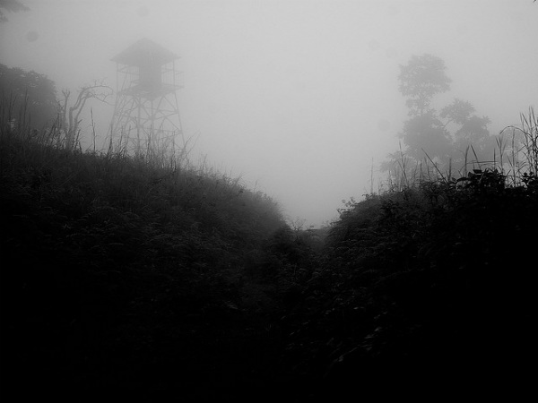 ಬಿಳಿಗಿರಿರಂಗನ ಬೆಟ್ಟ: