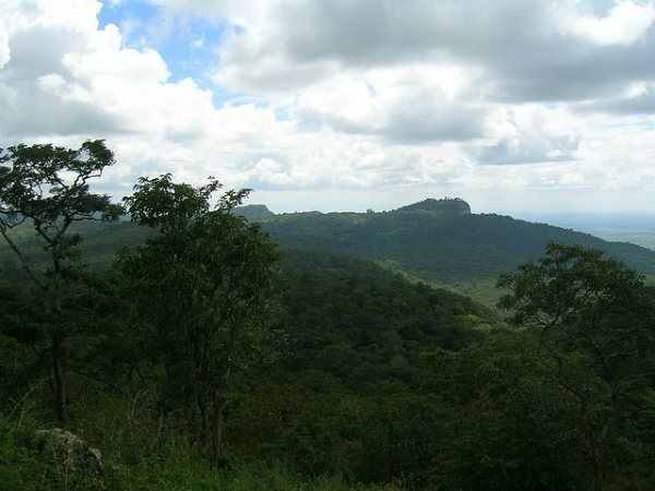 ಬಿಳಿಗಿರಿರಂಗನ ಬೆಟ್ಟ: