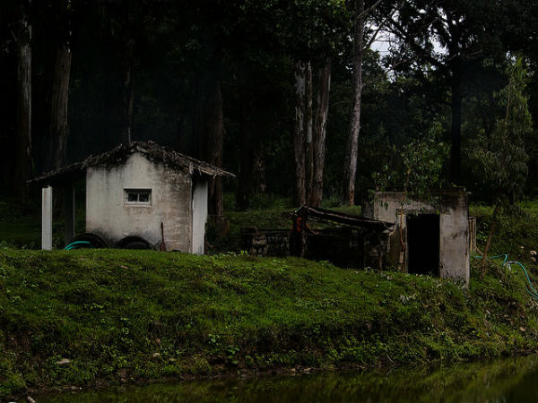 ಬಿಳಿಗಿರಿರಂಗನ ಬೆಟ್ಟ: