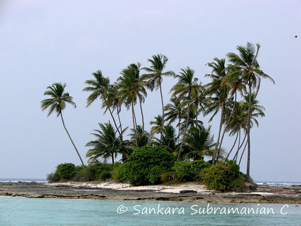 ಲಕ್ಷದ್ವೀಪ: