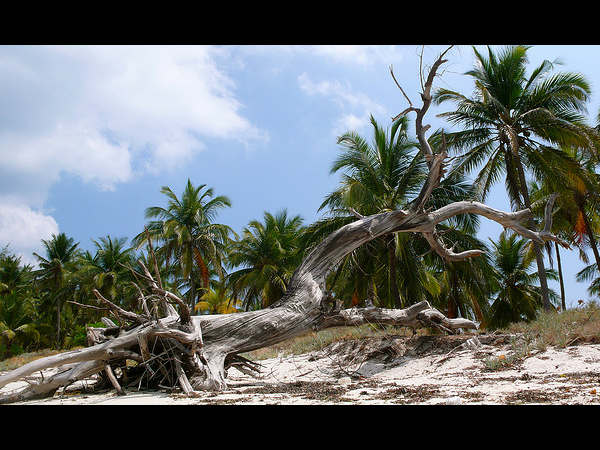 ಲಕ್ಷದ್ವೀಪ: