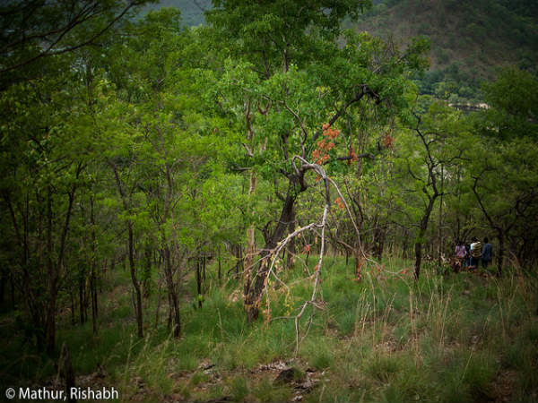 ಭೀಮೇಶ್ವರಿ: