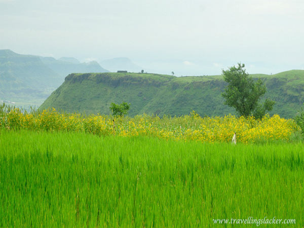 ಮುಂಬೈದಿಂದ ಗೋವಾ: