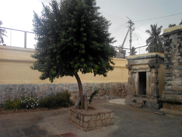 ತಲಕಾಡು - ಶಿವನಸಮುದ್ರ: