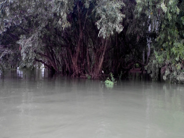 ತಲಕಾಡು - ಶಿವನಸಮುದ್ರ:
