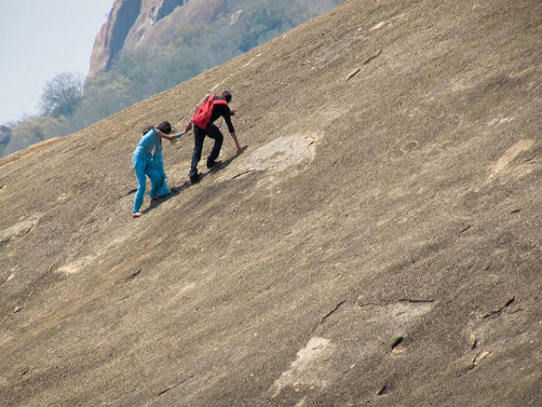 ಸಾವನದುರ್ಗ - ದೊಡ್ಡ ಆಲದ ಮರ: