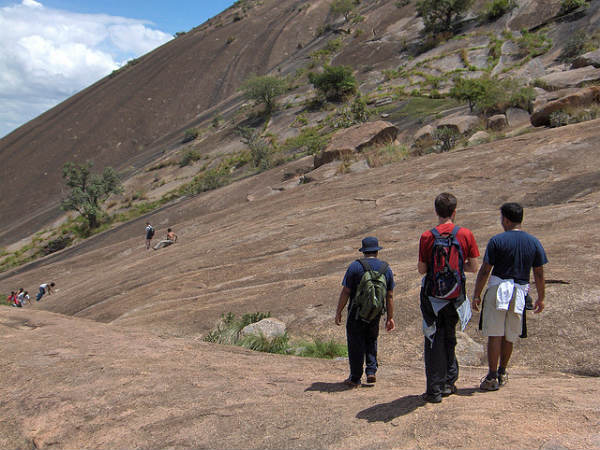 ಸಾವನದುರ್ಗ - ದೊಡ್ಡ ಆಲದ ಮರ: