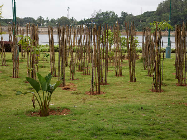 ಸ್ಯಾಂಕಿ ಕೆರೆ: