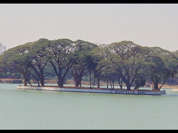 ಸ್ಯಾಂಕಿ ಕೆರೆ: ಸ್ಯಾಂಕಿ ಕೆರೆ: