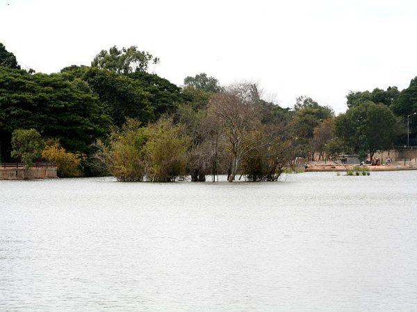 ಸ್ಯಾಂಕಿ ಕೆರೆ: