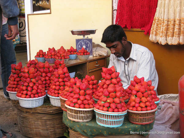 ಪಂಚಗಣಿ - ಮಹಾಬಳೇಶ್ವರ: