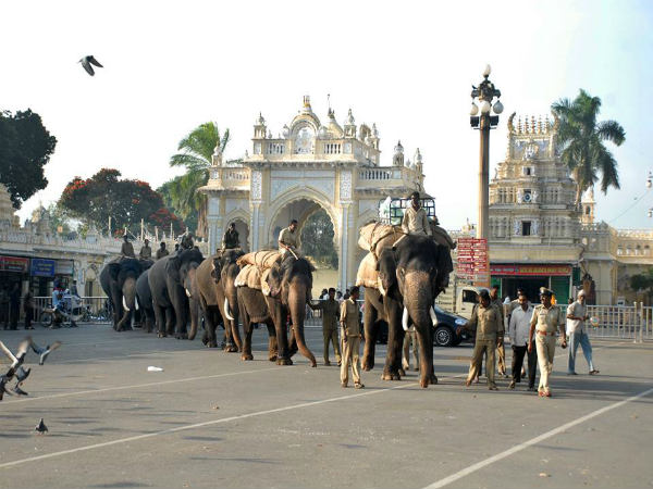 ಮೈಸೂರು ದಸರಾ ತಯಾರಿ: