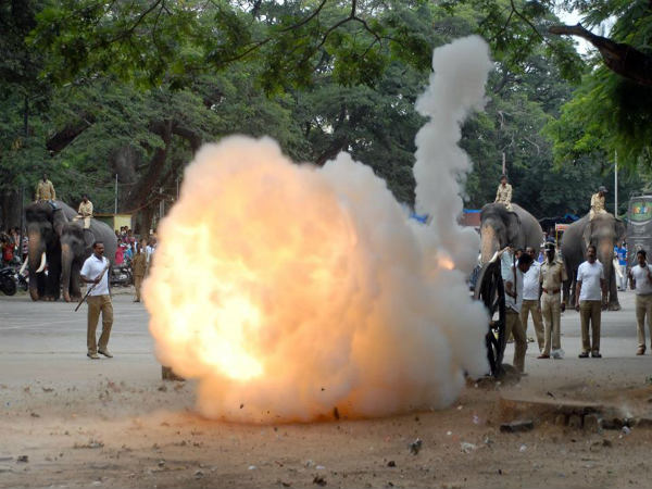 ಮೈಸೂರು ದಸರಾ ತಯಾರಿ: