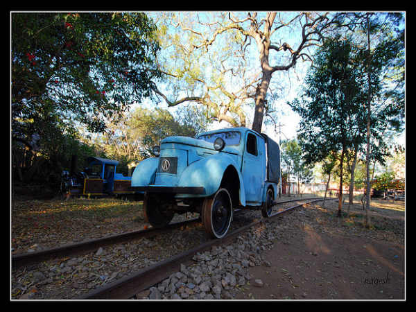 ಆನಂದಮಯ ದಸರ ಹಬ್ಬ: