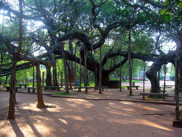 ಪಾಂಡಿಚೆರಿ: