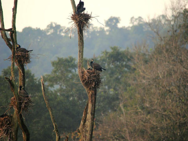 ಅಂದ ಚೆಂದಗಳ ಭದ್ರಾ