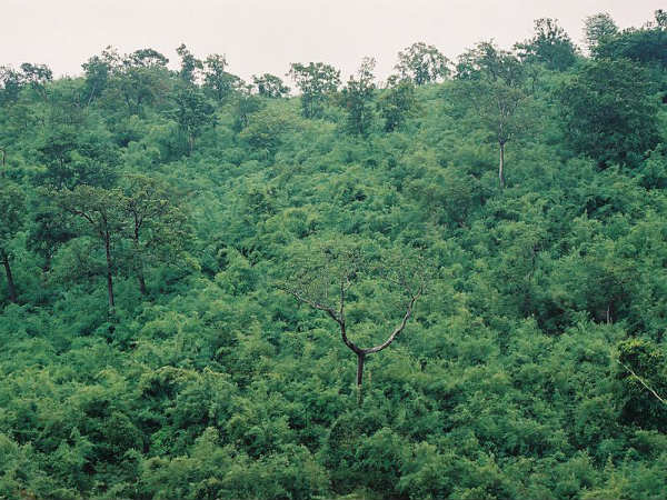 ಅಂದ ಚೆಂದಗಳ ಭದ್ರಾ