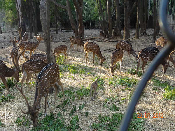 ವಿಶಿಷ್ಟ ಪ್ರವಾಸ: