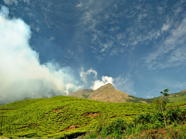 Kolukkumalai tea at highest point