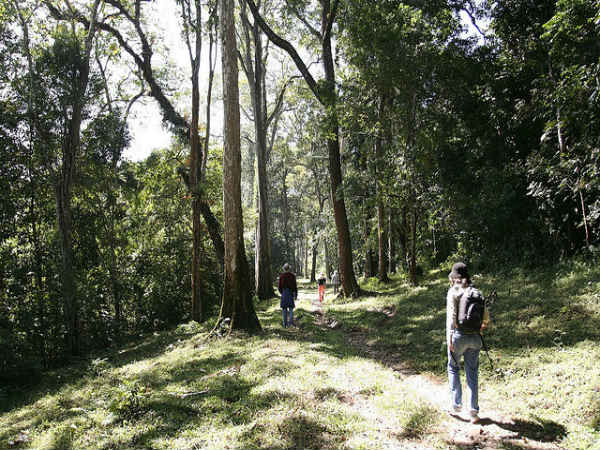 ತೆಕ್ಕಡಿ: