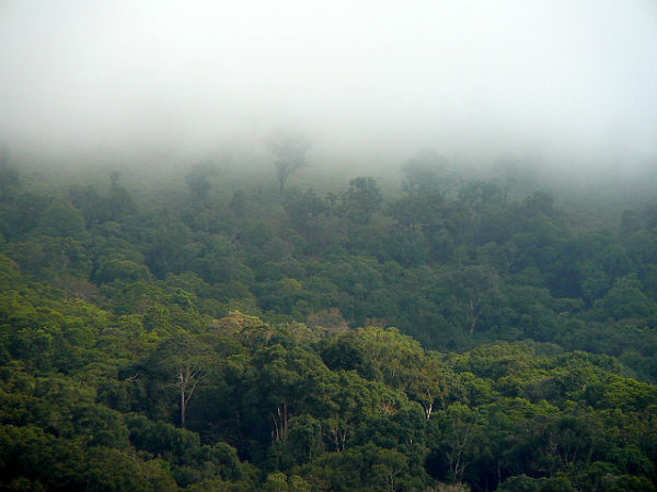 ತೆಕ್ಕಡಿ: