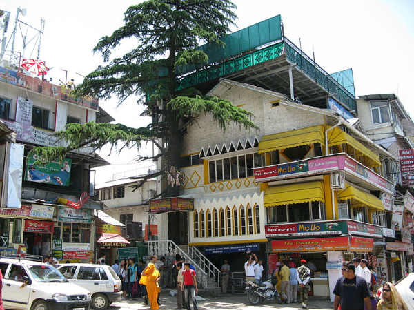 ಧರ್ಮಶಾಲಾ: