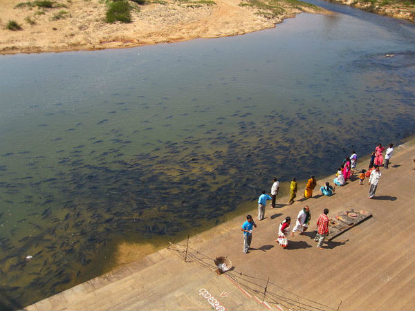 ಬೆಂಗಳೂರಿನಿಂದ ಕೊಡಚಾದ್ರಿ ಈ ರೀತಿ ಪಯಣಿಸಿ