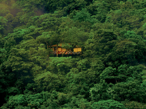 ಐದು ಸುಂದರ ಮರದ ಮೇಲಿನ ಮನೆಗಳು