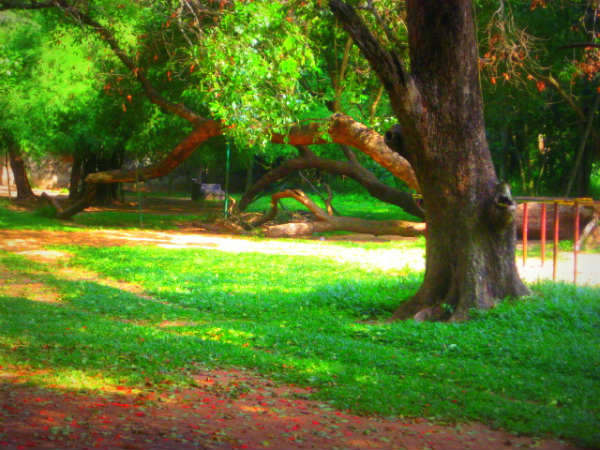 ಬೆಂಗಳೂರಿನಿಂದ ವರ್ಕಲಾ: