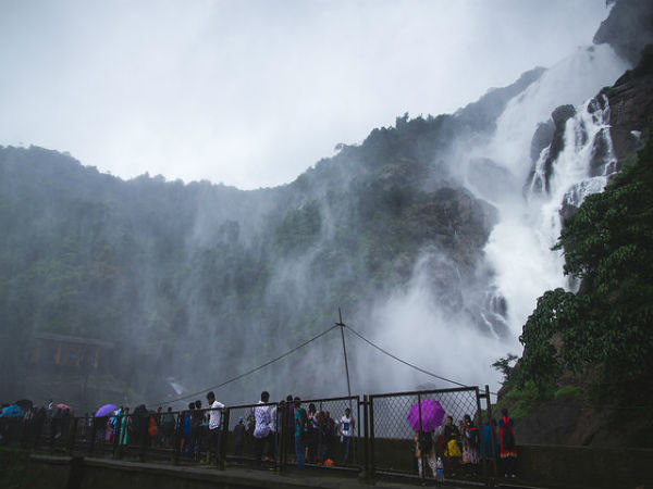 ಕ್ಯಾಸಲ್‍ರಾಕ್ ನಿಂದ ದೂಧ್ ಸಾಗರ್ ಅದ್ಭುತ ಟ್ರೆಕ್