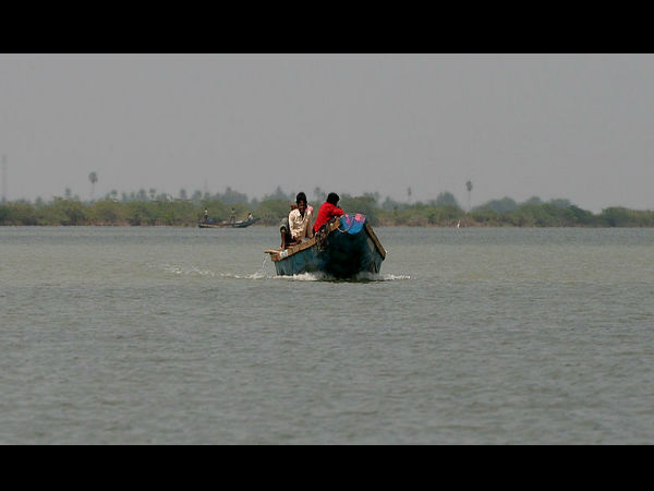 ಕೃಷ್ಣಾ ಅಭಯಾರಣ್ಯ ದ.ಭಾರತದ ಆಸ್ತಿ