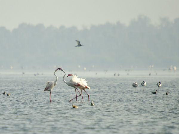 ಬೆಂಗಳೂರಿನಿಂದ ಪುಲಿಕಟ್ ವರೆಗೆ: