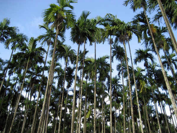 ಸಾಗರ ಹಾಗೂ ಇತರೆ ಸ್ಥಳಗಳು: